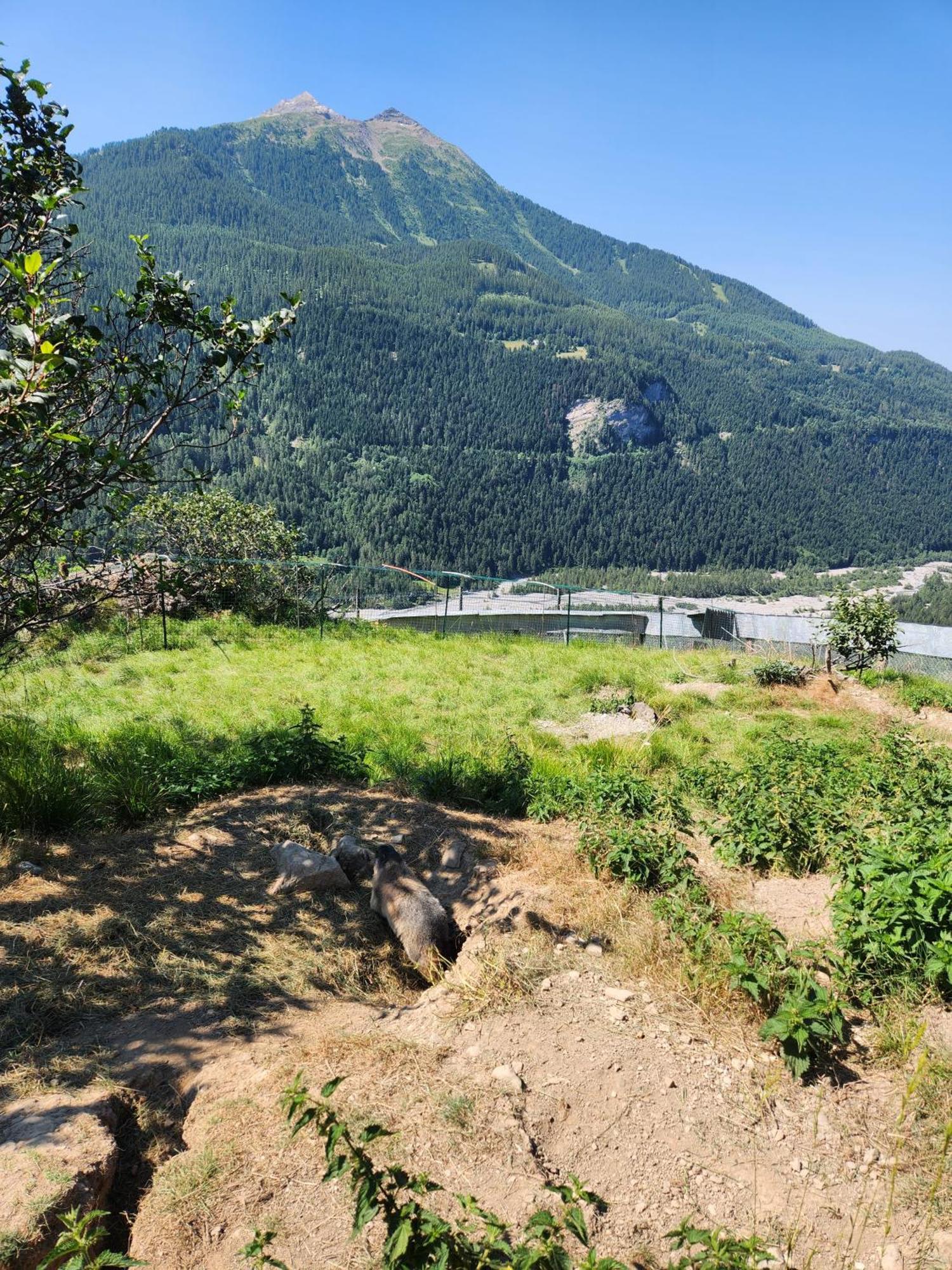 Appartement T3 Avec Jardin Proche Village Saint-Bonnet-en-Champsaur Zewnętrze zdjęcie